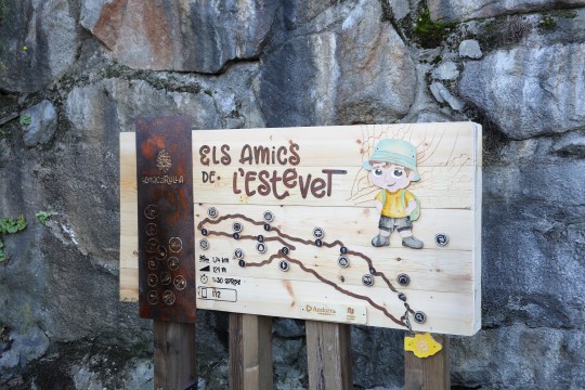 Els amics de l'Estevet