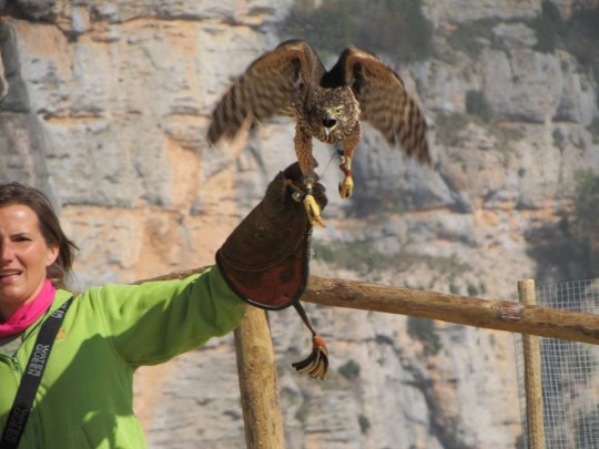 Sortida al zoo del pirineu
