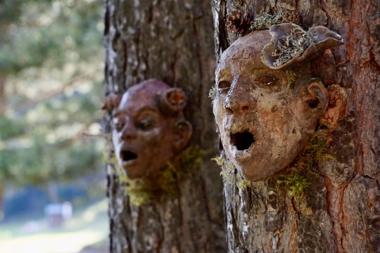 Guardians de llac