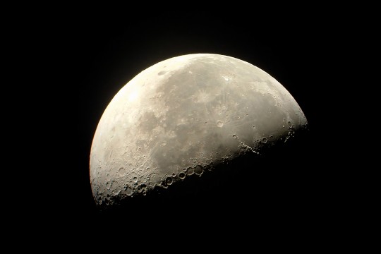 Tornem a la Lluna! Observació astronòmica | Nits d’estiu als museus