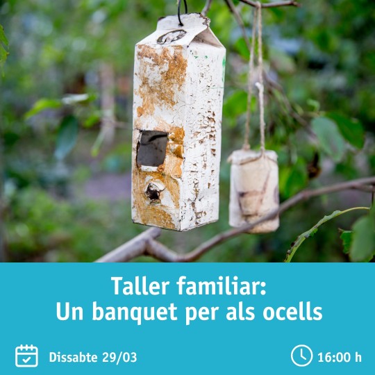 Un banquet per als ocells – Taller familiar