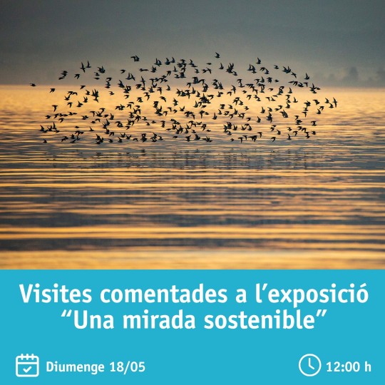 Visita comentada a l’exposició fotogràfica “Una mirada sostenible”