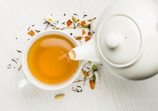 Cerimonia del te Biblioteca Encamp