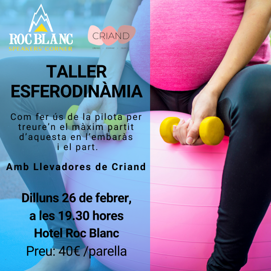 taller d'esferodinàmia