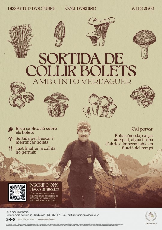 Bolets