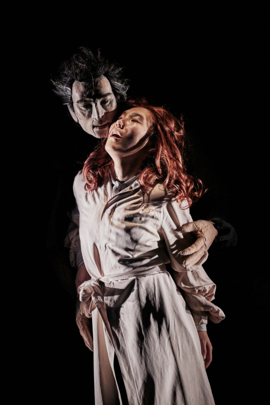 Ànima Festival de Titelles d'Andorra