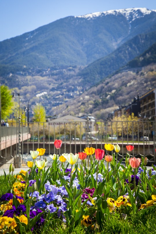 Andorra la Vella en flor