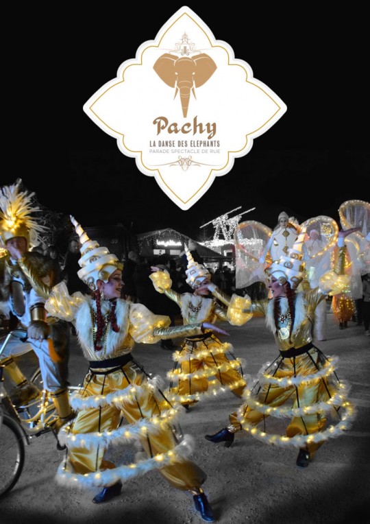 Pachy, la danse des elephants
