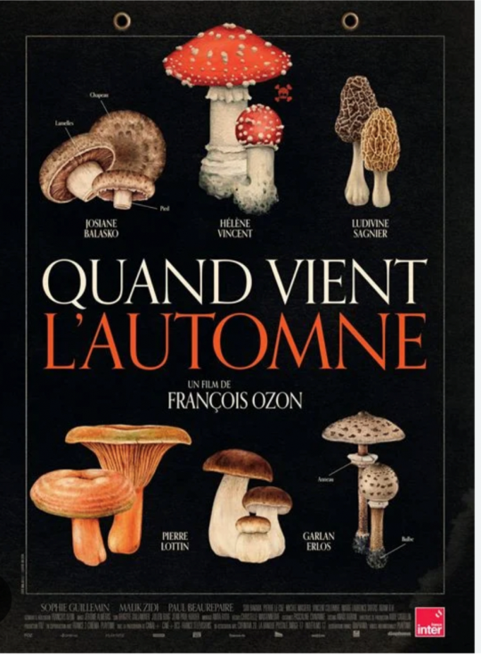 Cicle de pel·lícules de l'Aliança Andorrano-francesa