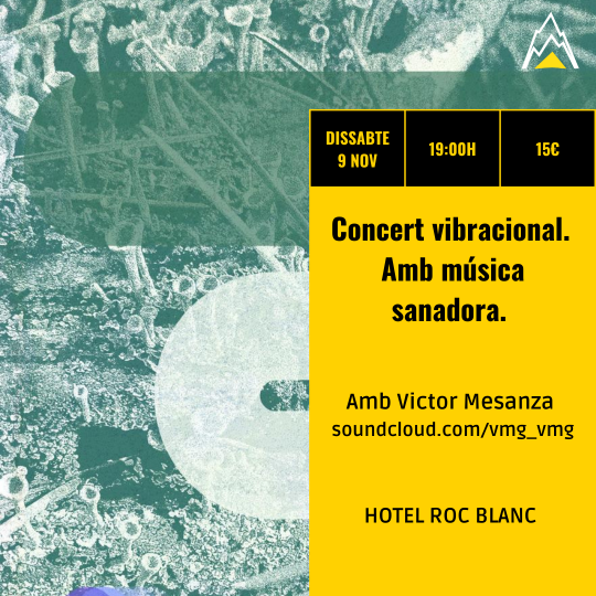 Concert vibracional amb música sanadora