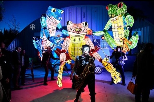 Electro Frogs, Cia. Caramantran