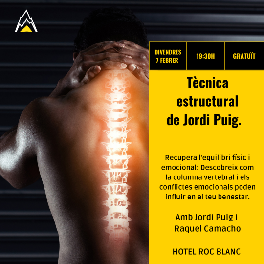 Tècnica estructural de Jordi Puig