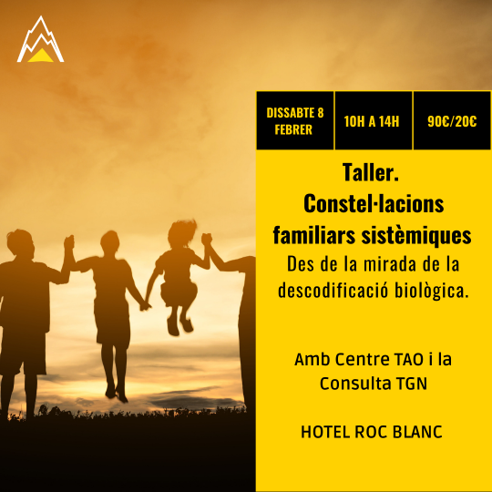 Taller 'Constel·lacions familiars sistèmiques'