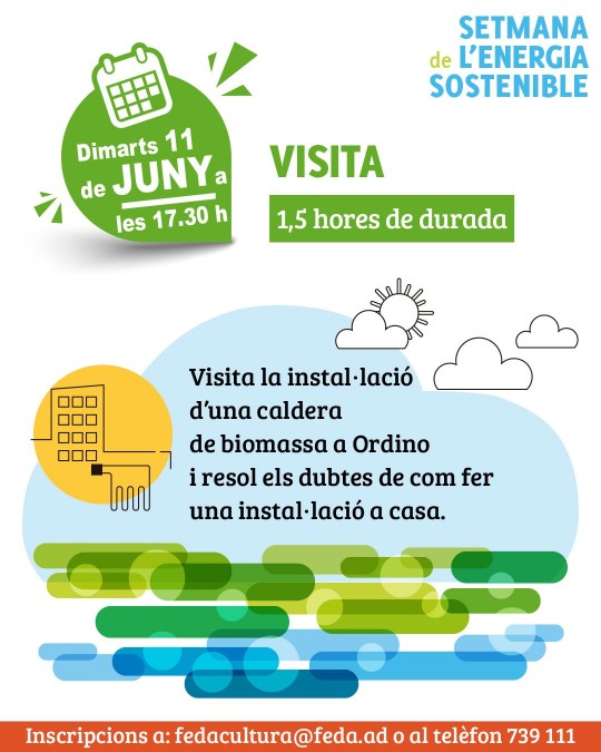 Visita la instal·lació d’una caldera de biomassa a Ordino