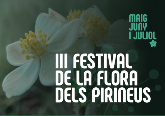Festival de la Flora de l’est dels Pirineus