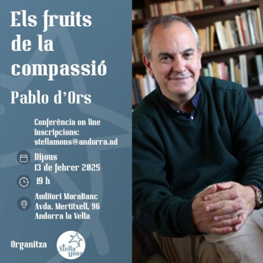 Conferència en línia 