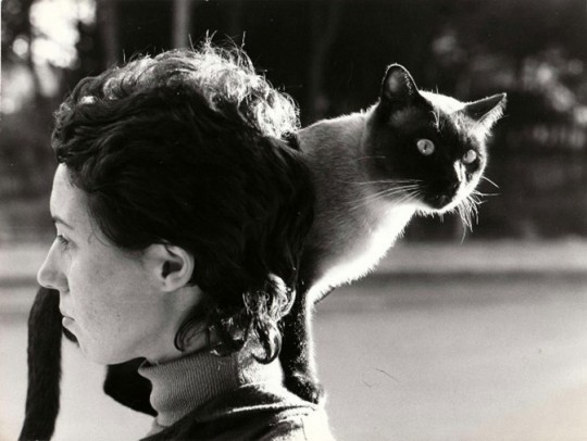 Inauguració de l'exposició 'Eulàlia Grau. L'art com a compromís ètic'