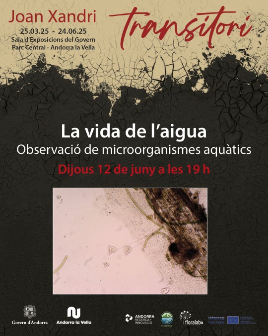 “La vida de l'aigua. Observació de microorganismes aquàtics”. Activitat conduïda pel biòleg Manel Niell, en el marc de Pyrisentinel al Festival de la Flora dels Pirineus