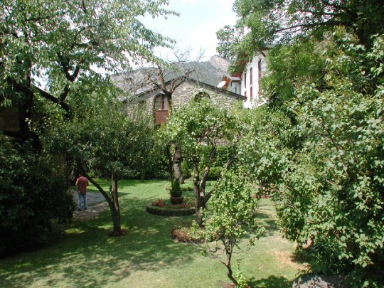 Refrigeri de te bubbles. Tast de te amb bombolles i pica-pica a càrrec de Lovedrinktea