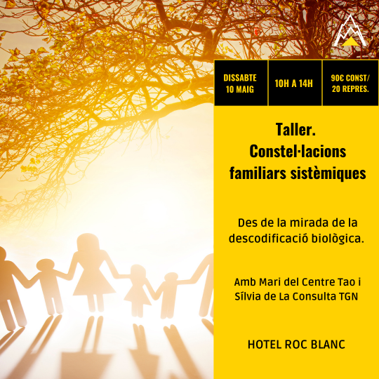 Taller: Constel·lacions familiars sistèmiques