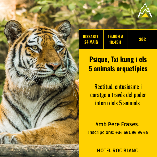 Psique, Txi kung i els 5 animals arquetípics