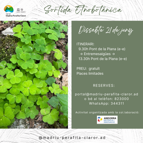 Sortida Etnobotànica