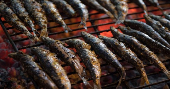 sardinada carnaval el pas de la casa