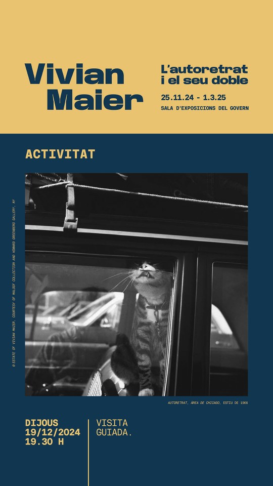 Visita guiada a l'exposició 