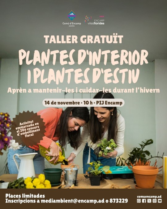 taller plantes medi ambient encamp
