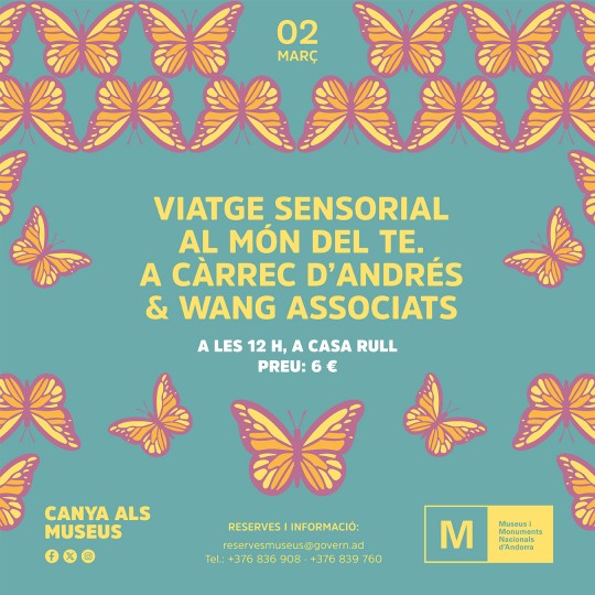 Viatge sensorial al món del te