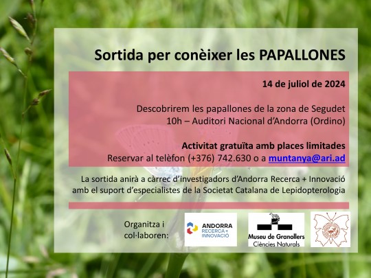 Sortida per conèixer les papallones