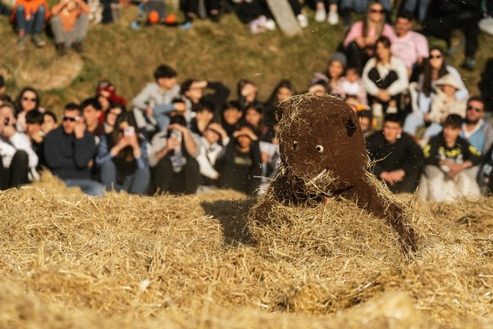 ball ossa carnaval encamp