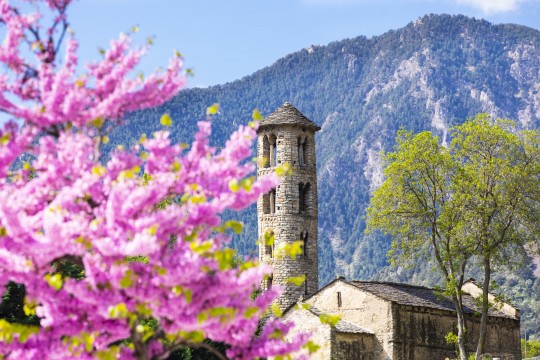 Visita de Santa Coloma