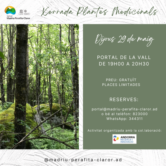Xerrada 'Plantes medicinals'